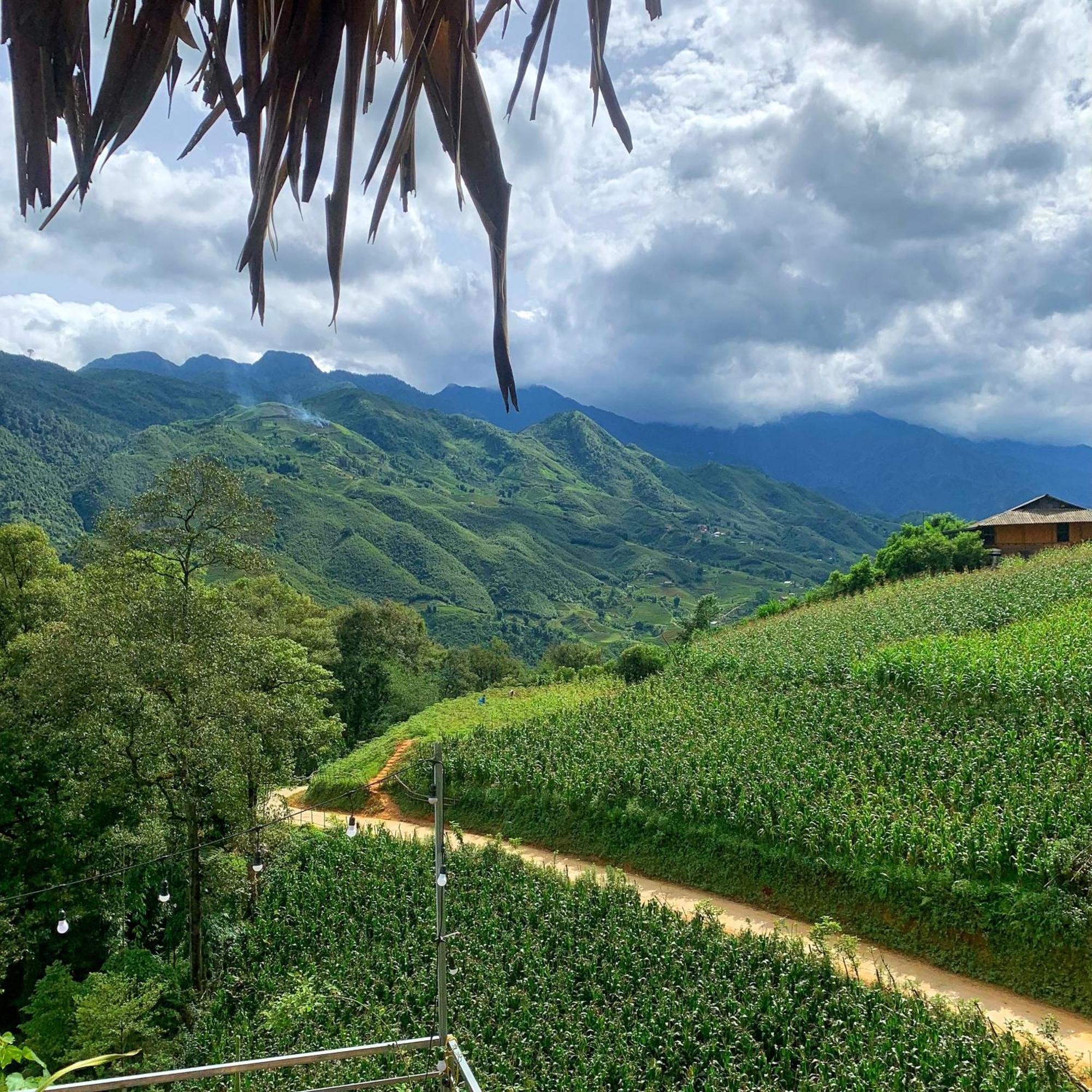 La Rosa House Bed & Breakfast ซาปา ภายนอก รูปภาพ
