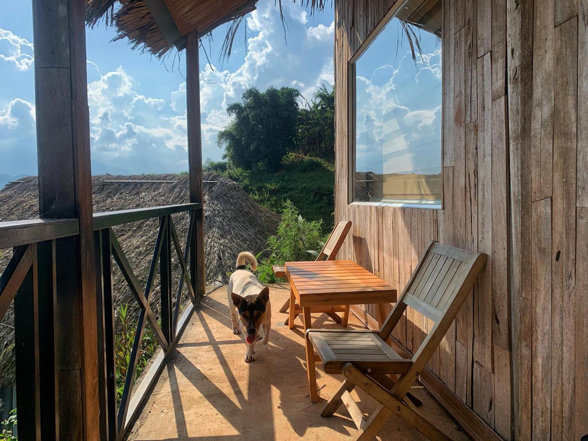 La Rosa House Bed & Breakfast ซาปา ภายนอก รูปภาพ